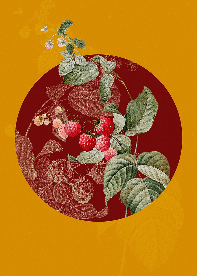 Vintage Red Berries Paint