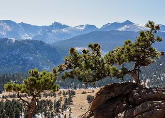 Rocky Mountain 2