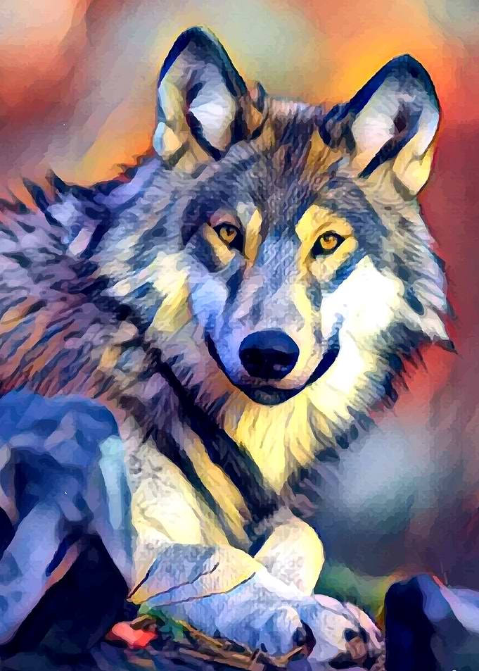 Staring Wolf