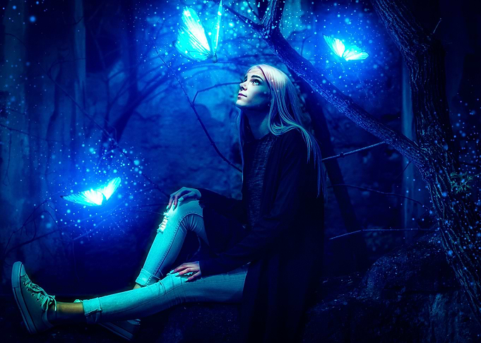 Magical forest night
