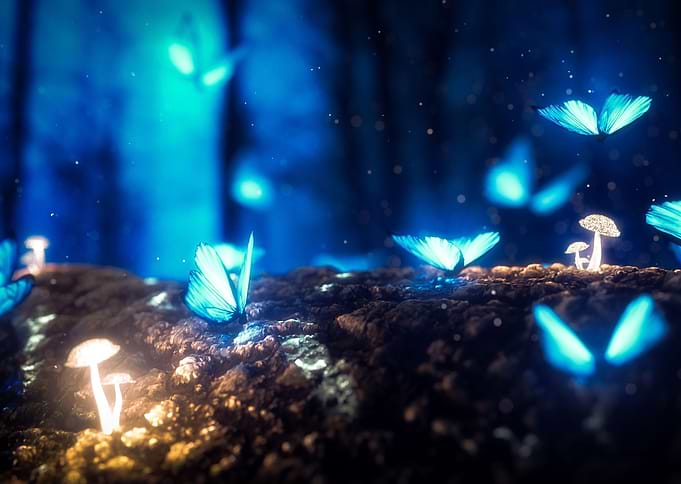Butterfly effect
