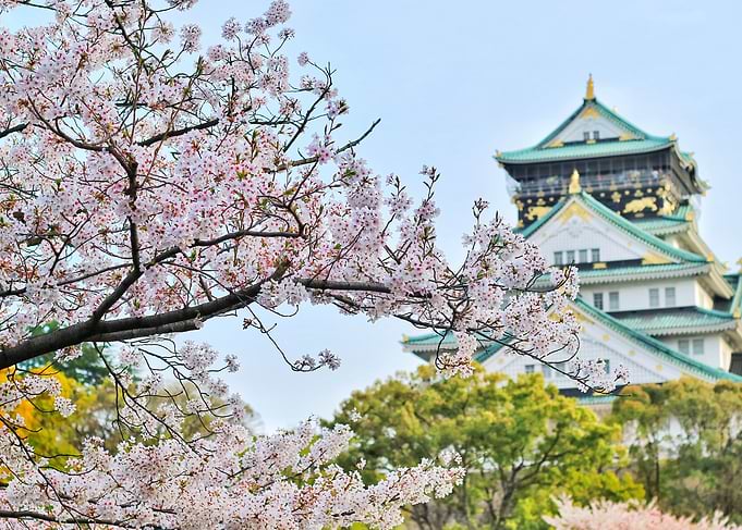 Japan temple