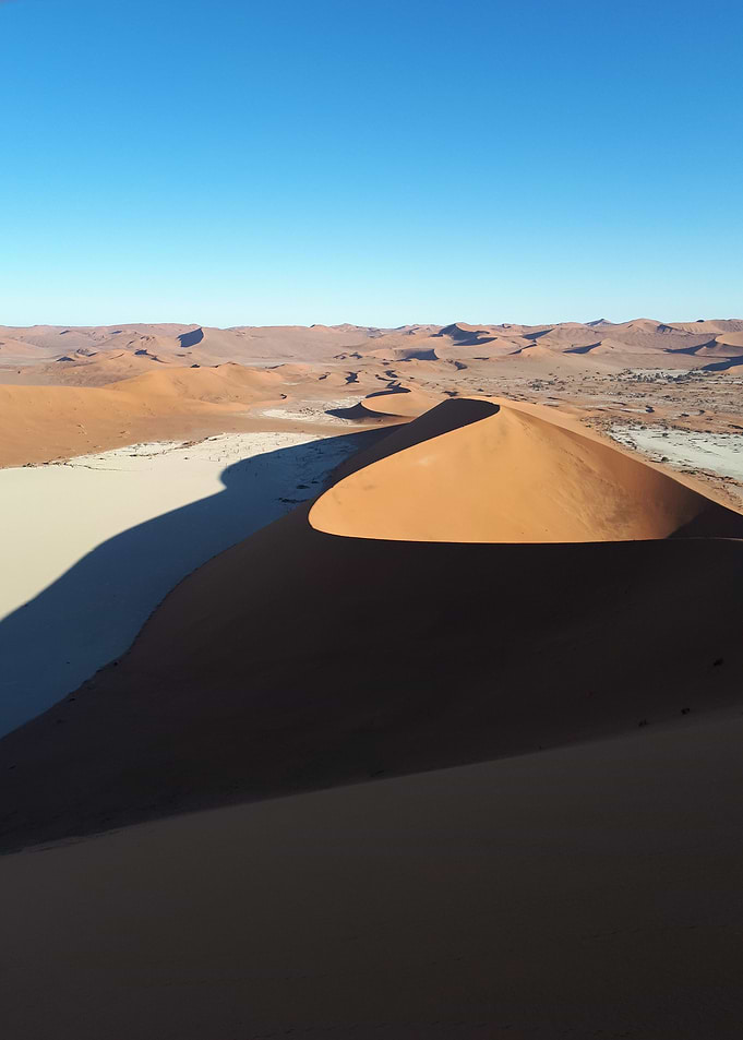 Dune in Namibia