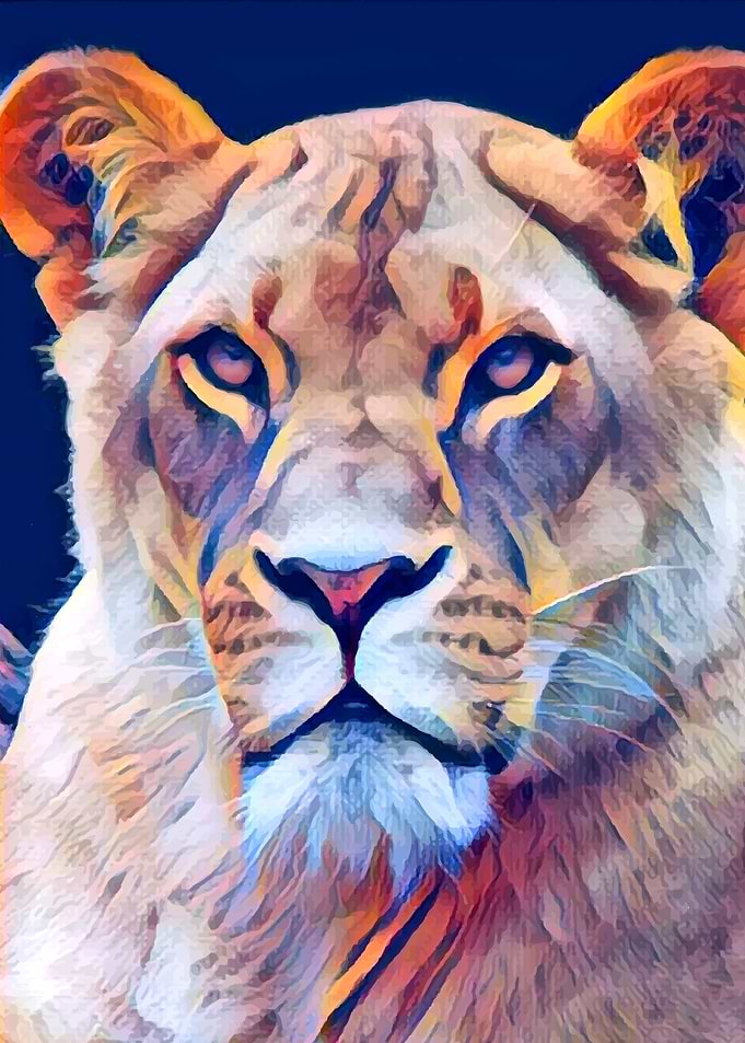 The White Lion