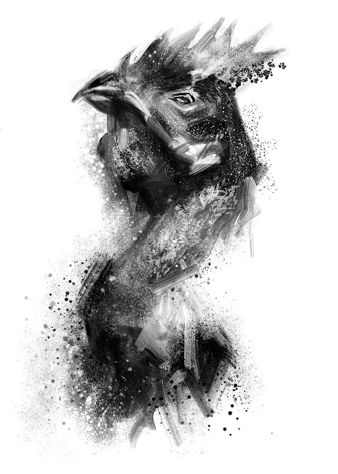 Rooster