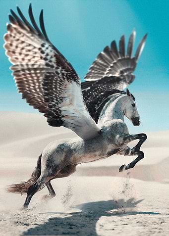 Pegasus