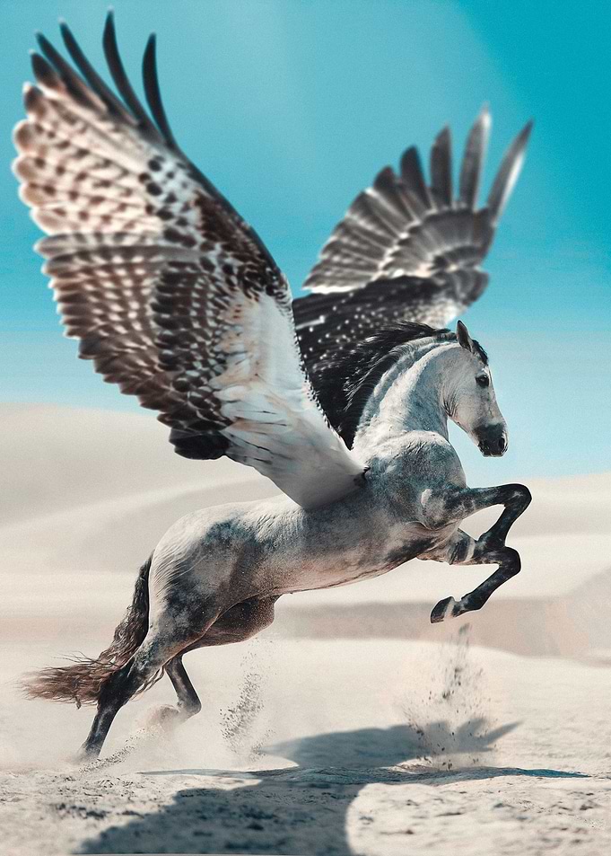 Pegasus