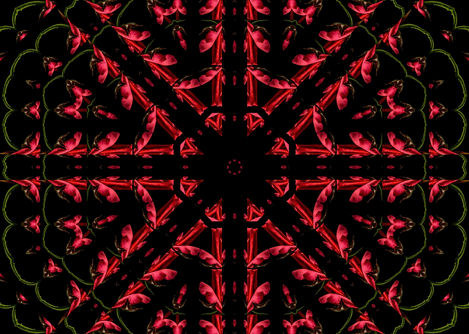 Red Octagon Star Mandala
