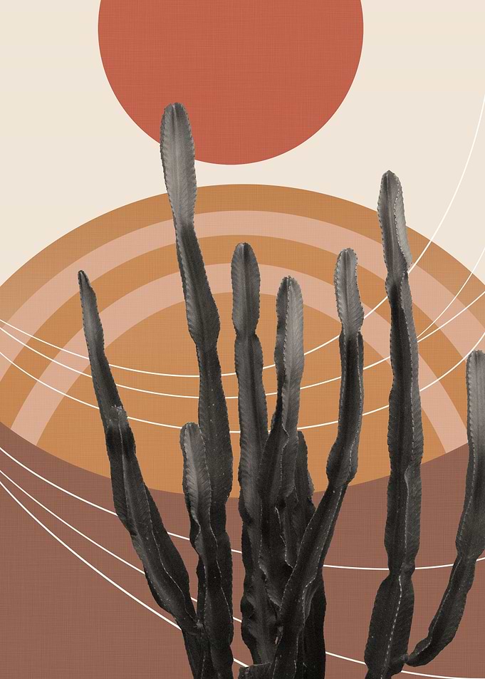 Cactus in the Desert 1