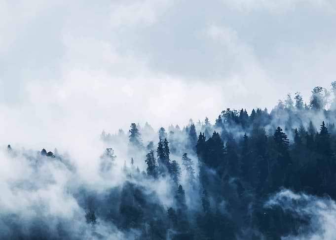 Foggy