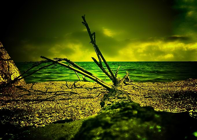 Earth Beach