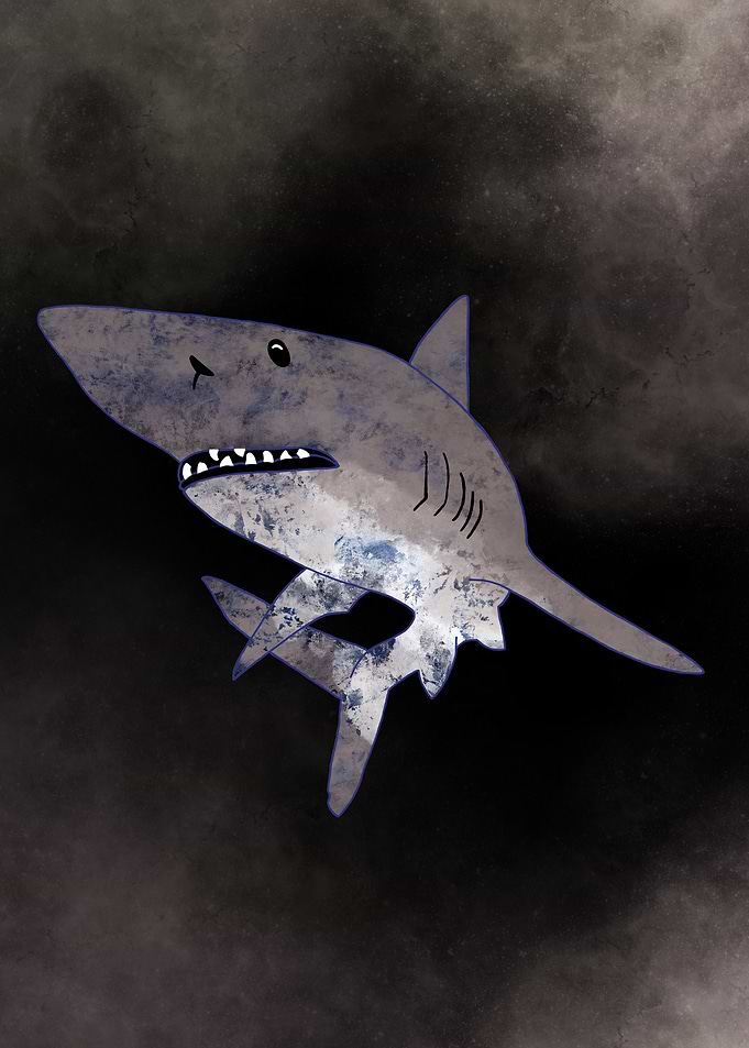 deep sea shark