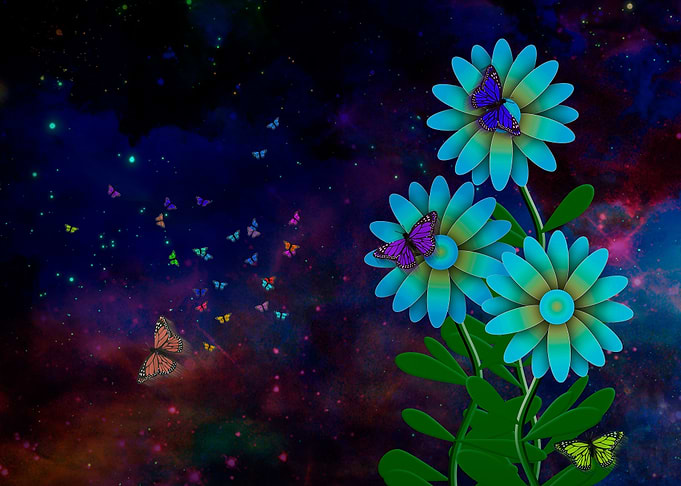 Butterflies on flowers
