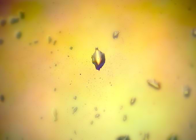 Drops in window 002