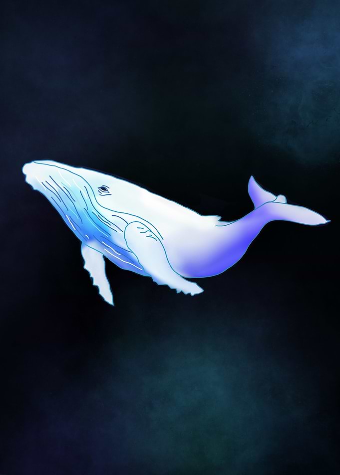 Humback Whale