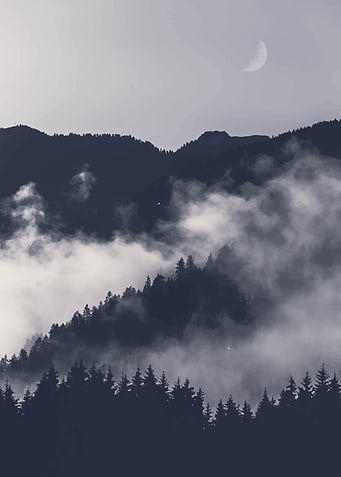 Foggy landscape