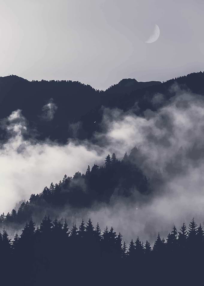 Foggy landscape