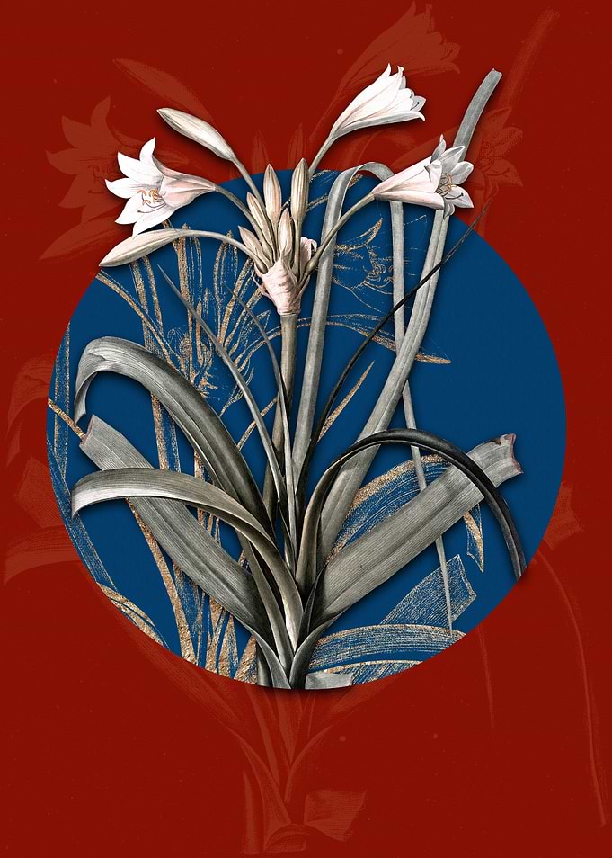 Vintage Malgas Lily Flower