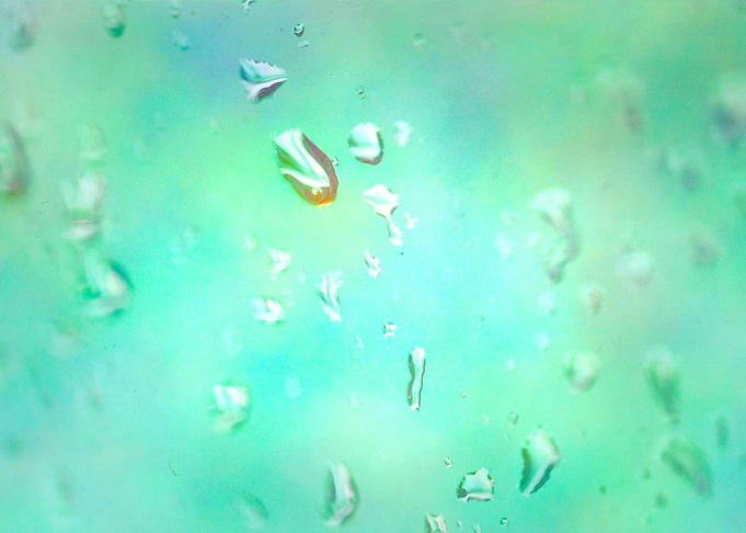 Drops in Window 004