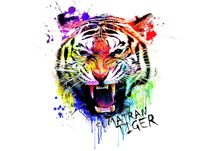 Sumatran Tiger Colorful