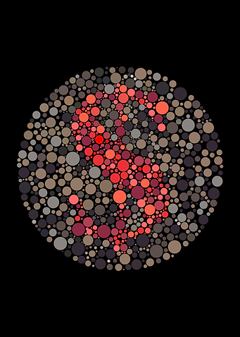 DOLLAR ISHIHARA TEST
