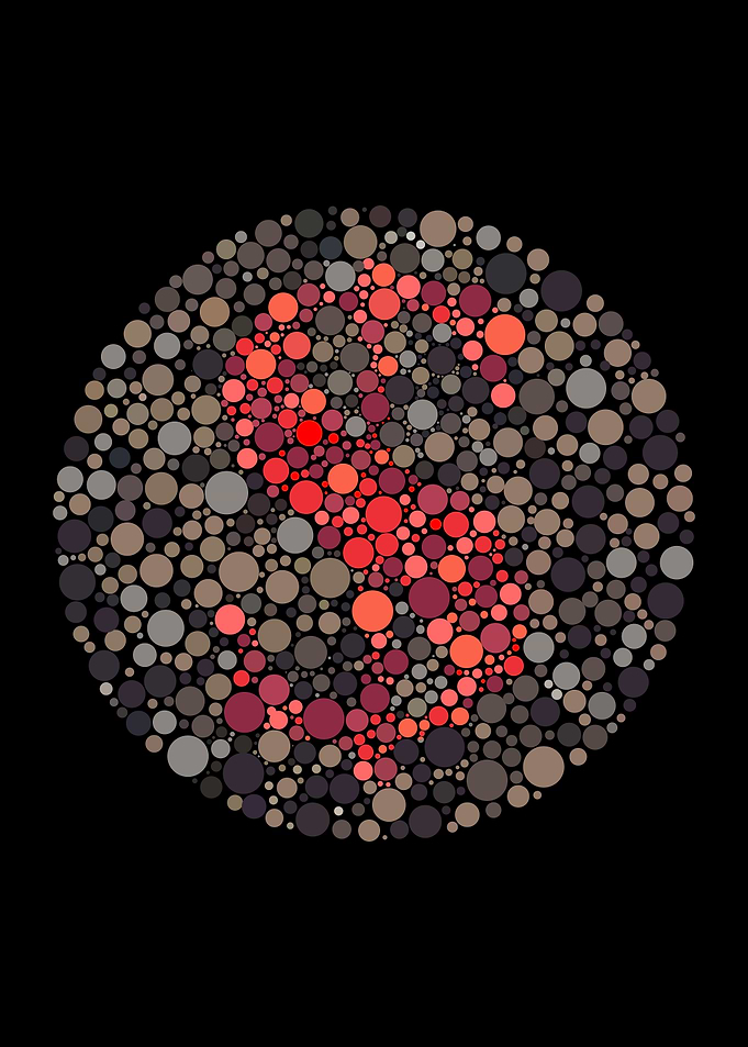 DOLLAR ISHIHARA TEST