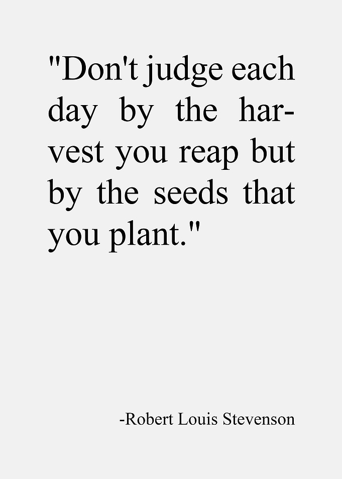 Do Not Judge