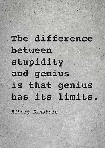 Albert Einstein Quote L002