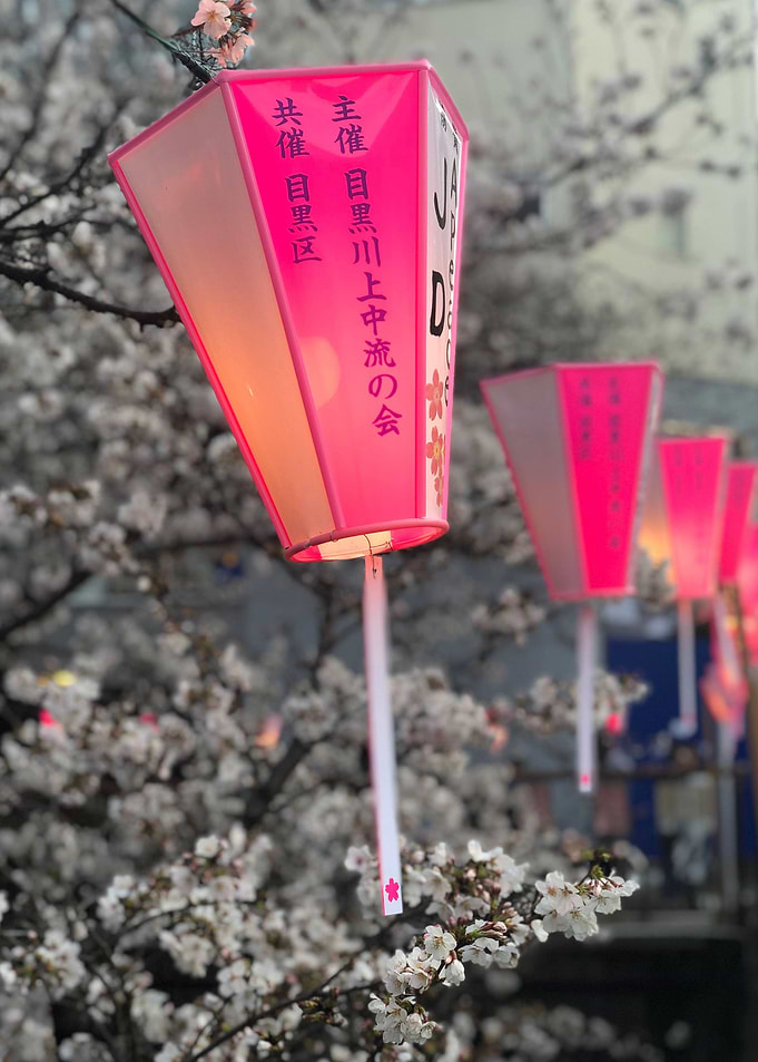Japanese Lanterns