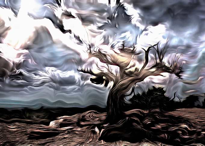 Old tree