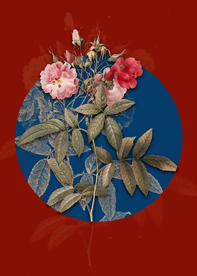 Vintage Hudson Rose Flower