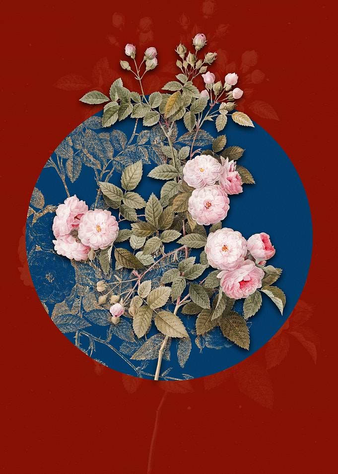 Vintage Pink Baby Roses