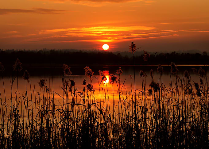 Sunsetting sun