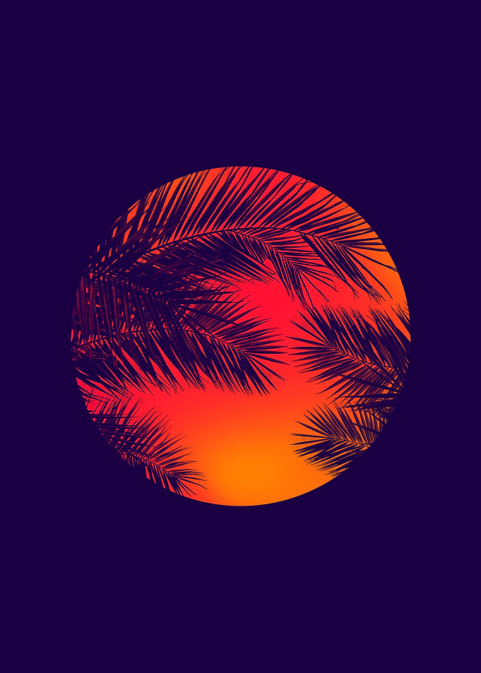 Palm Tree Sunset