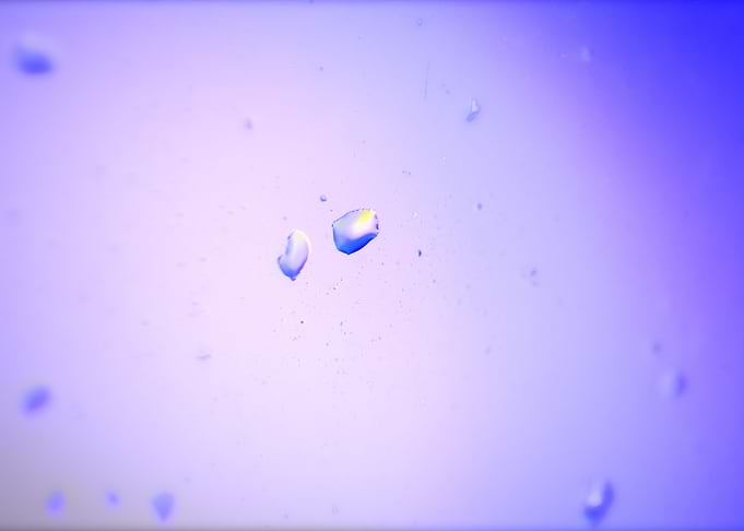 Drops in Window 003