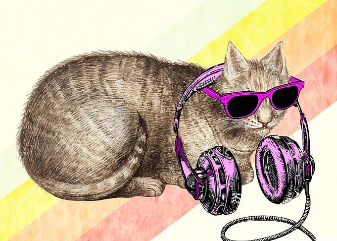 DJ Cat Rainbow Retro