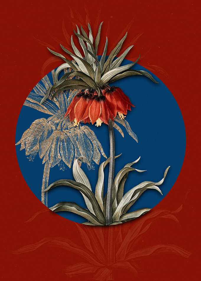 Vintage Fritillaries Flora
