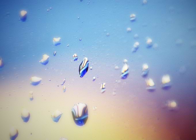 Drops in Window 008
