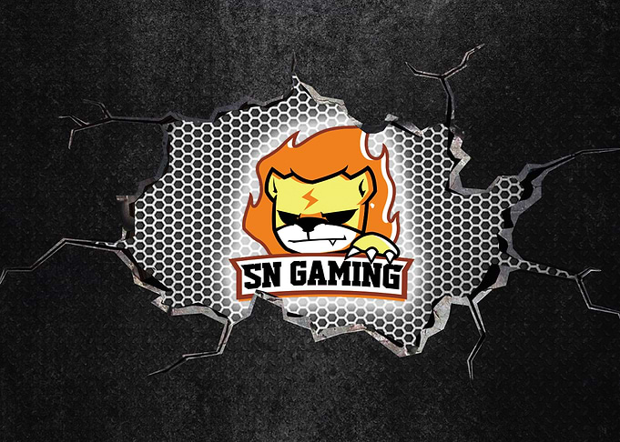 Suning Gaming