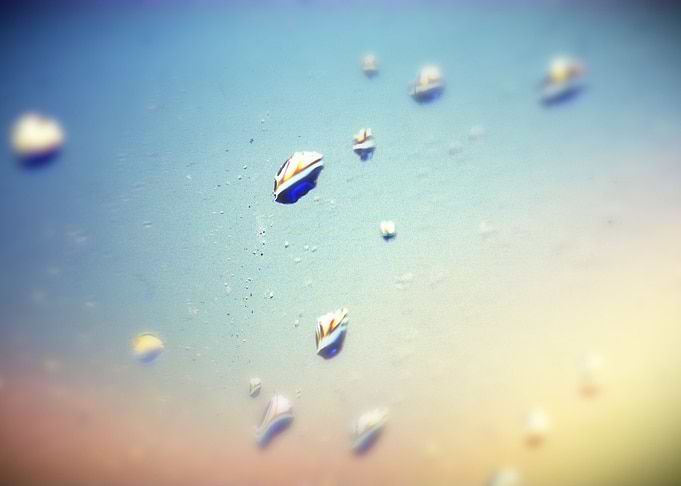 Drops in Window 006