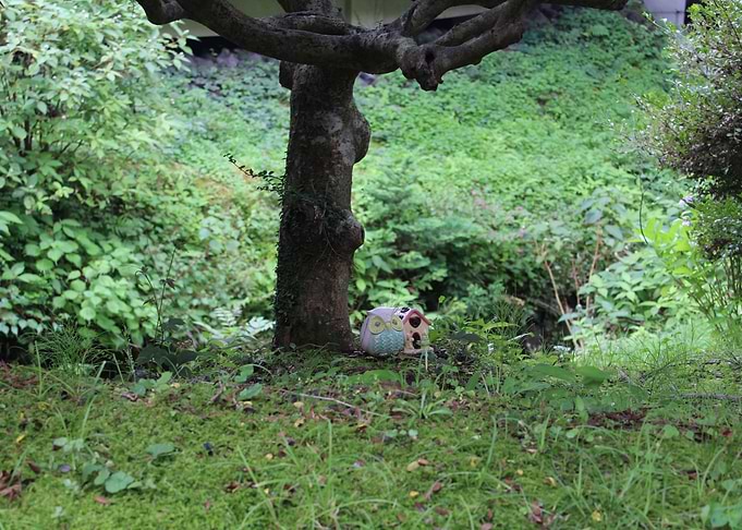 Countryside Japan