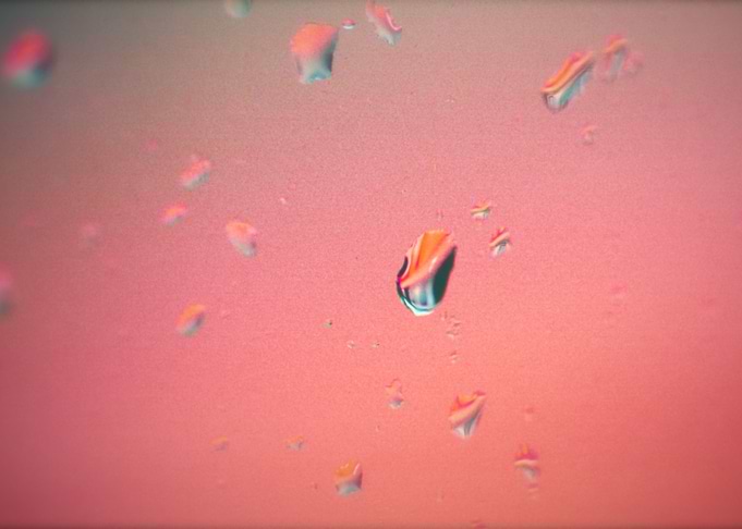 Drops in Window 005