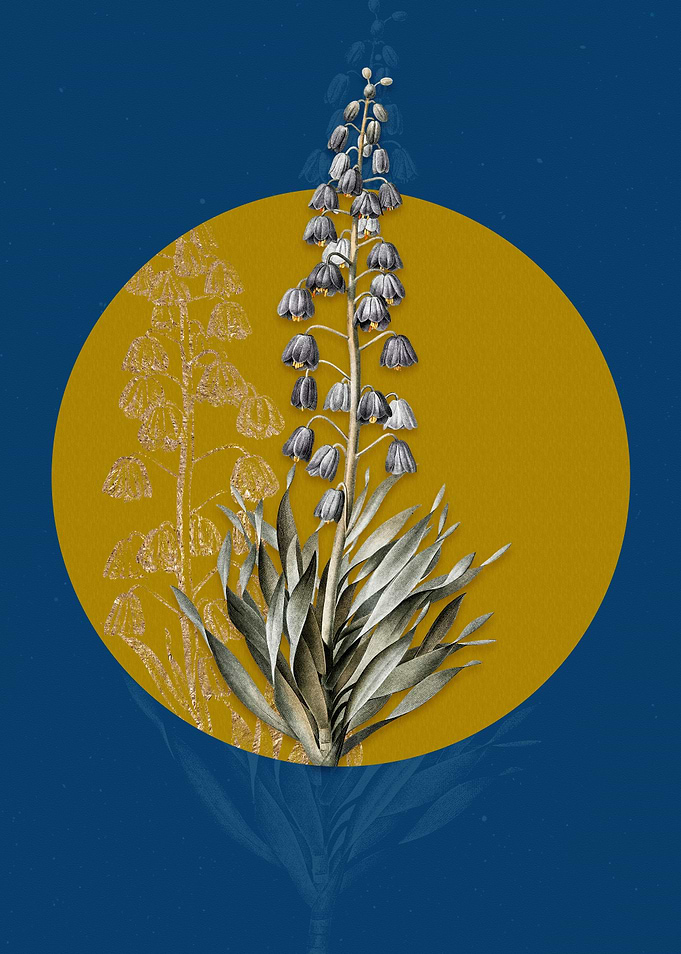 Vintage Persian Lily Flora