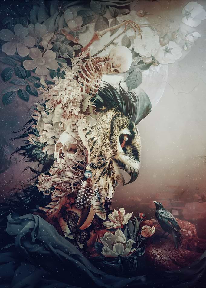 Owl Fantasy
