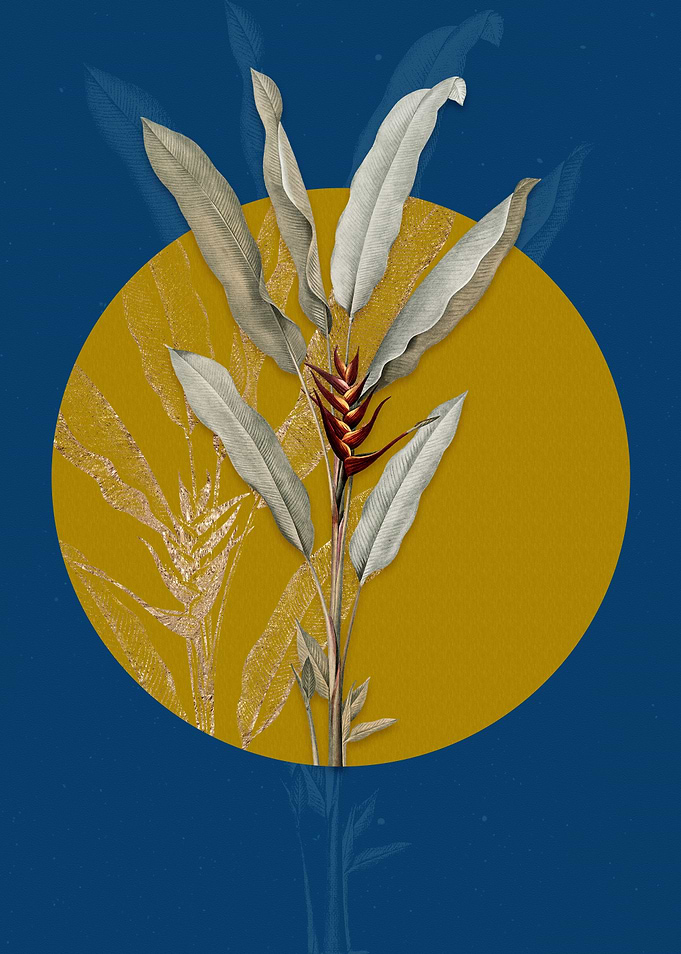 Vintage Parrot Heliconia