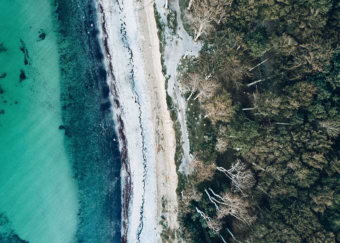 Forest and coast
