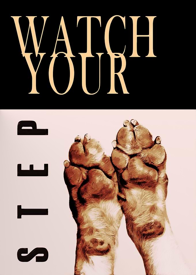WATCH YOUR STEP