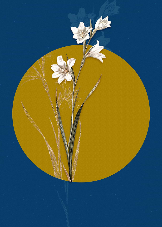 Vintage Painted Lady Flora
