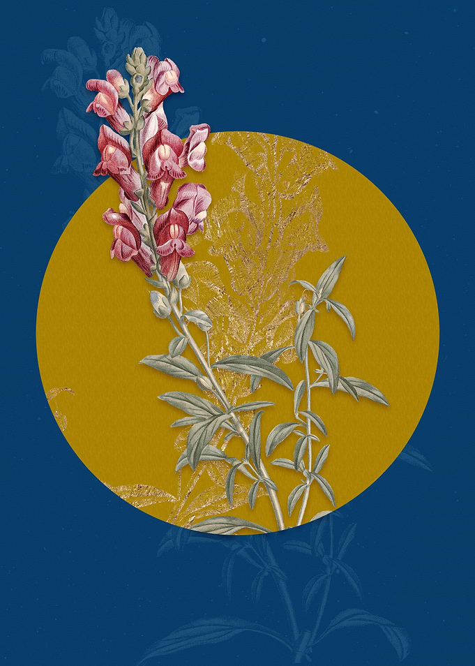 Vintage Red Dragon Flowers