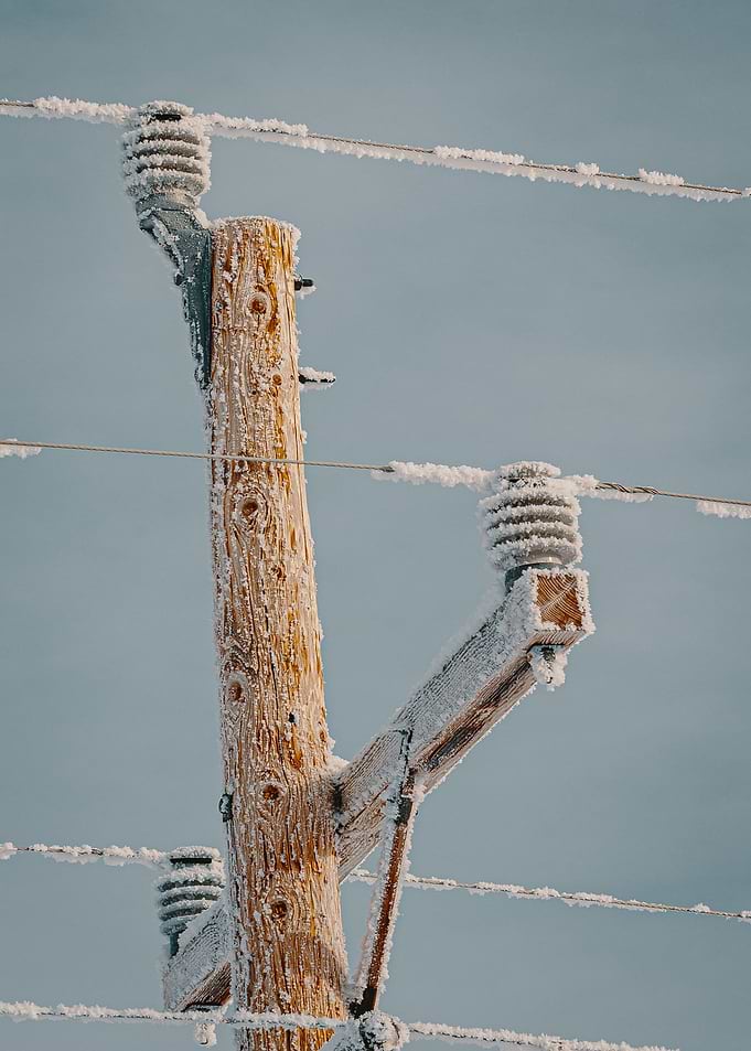 wood rope snow
